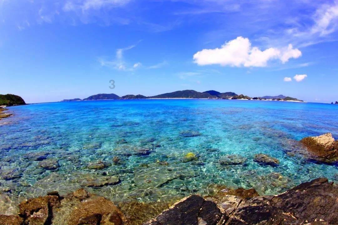 沪江开心词场