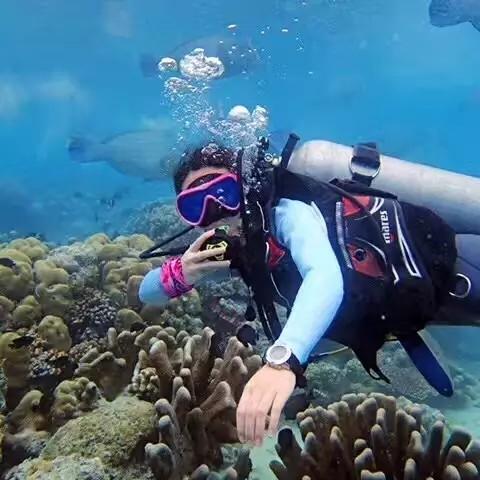 名流设计
