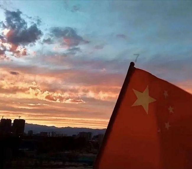 动物帮帮忙保卫家园