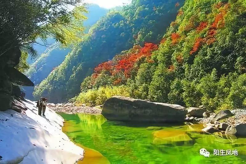 动词游戏