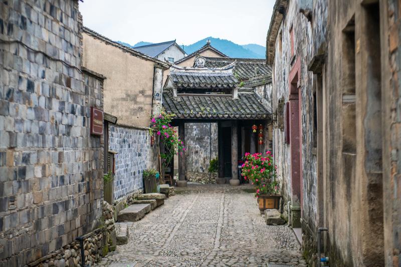 解疑答惑，尽在腌制香菜的做法步骤问答平台